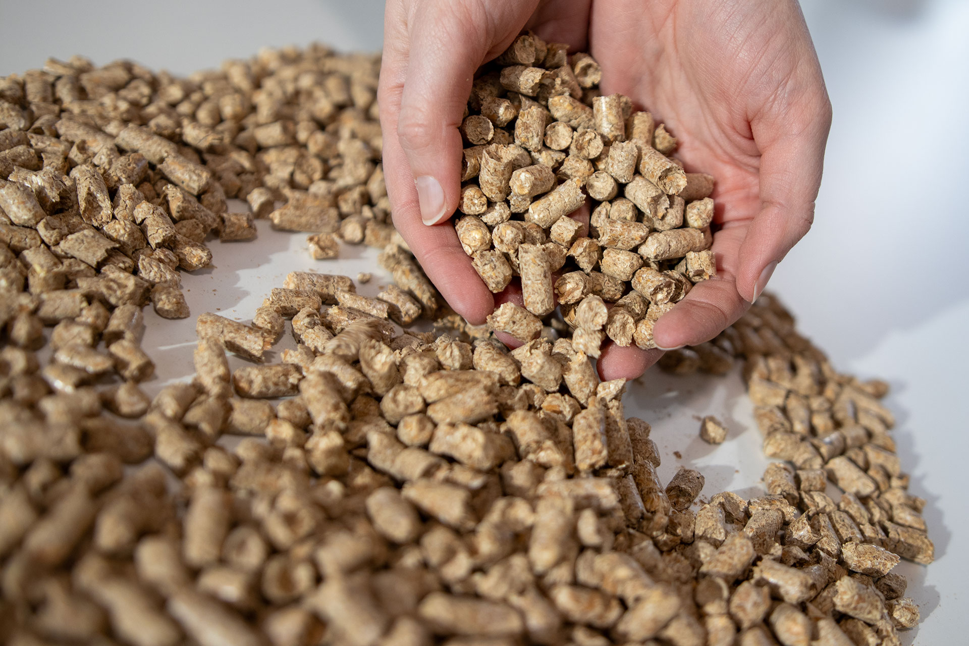Pellets af speltskaller
