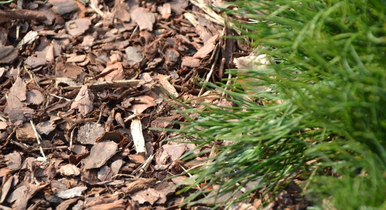 GARDEN SEASON 2026: SECURE YOUR SUPPLIES