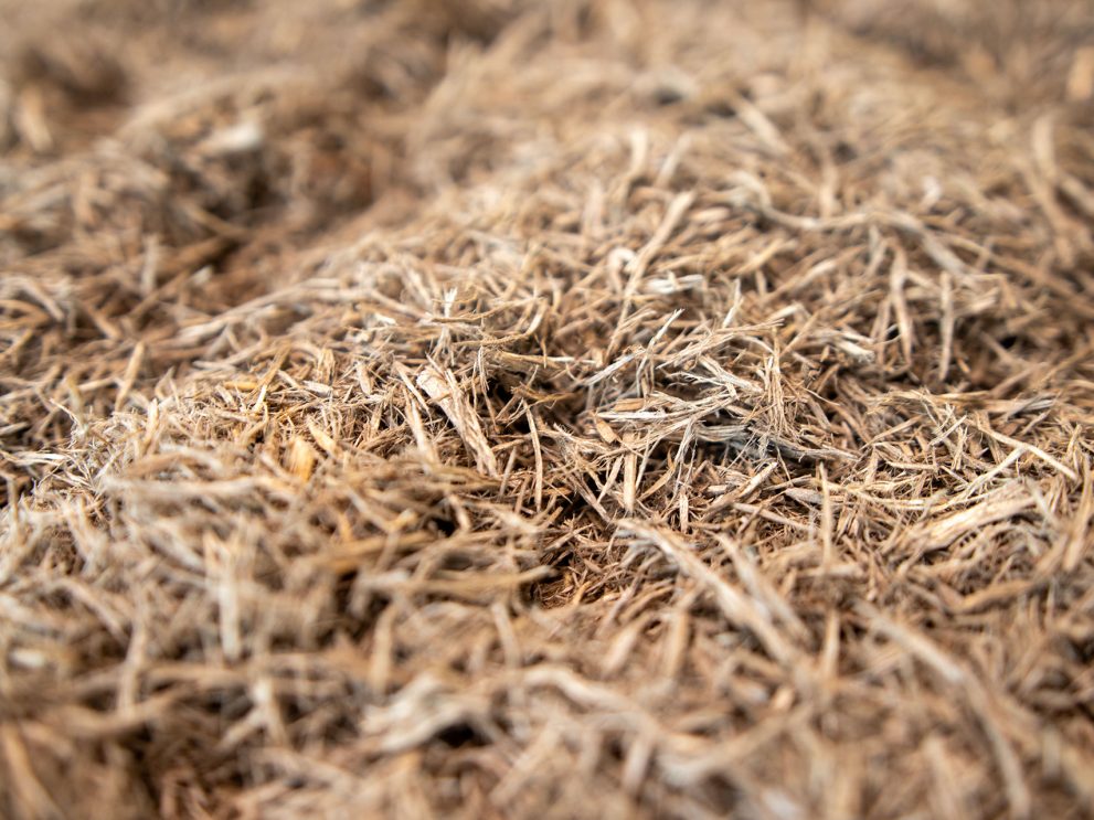 Holzfasern-Torfersatz