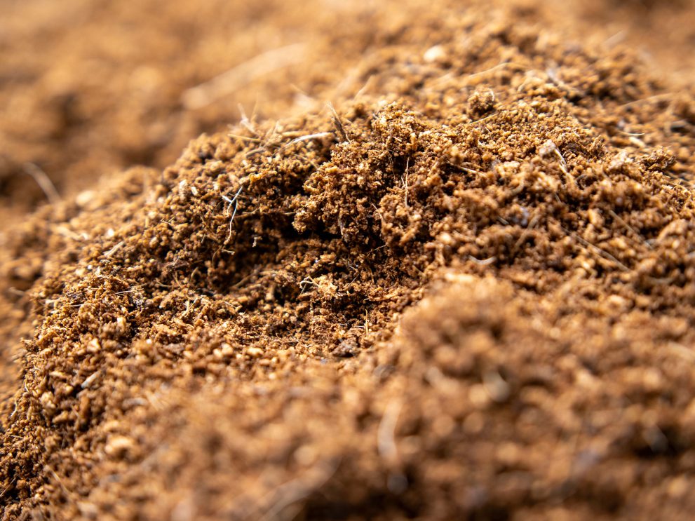 Kokospeat-Torfersatz