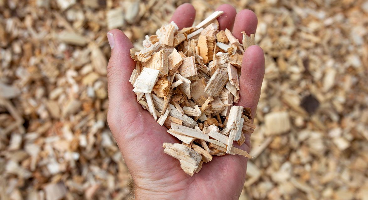 NEWS_Website_Bad_Laer